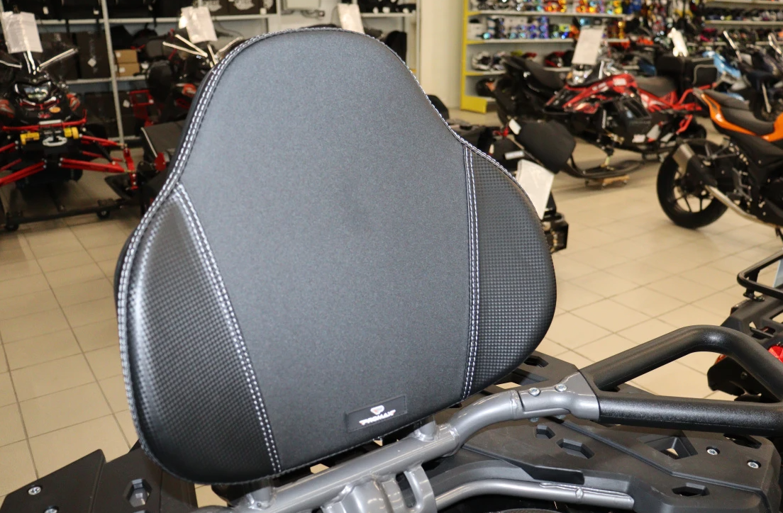 Квадроцикл PROMAX RENEGADE 300 LONG WINCH PRO (2025) в Ханты-Мансийске