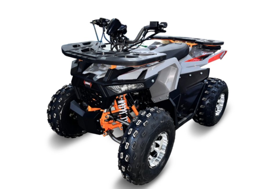 Квадроцикл GBM DAXTER 220 NEW PREMIUM в Ханты-Мансийске