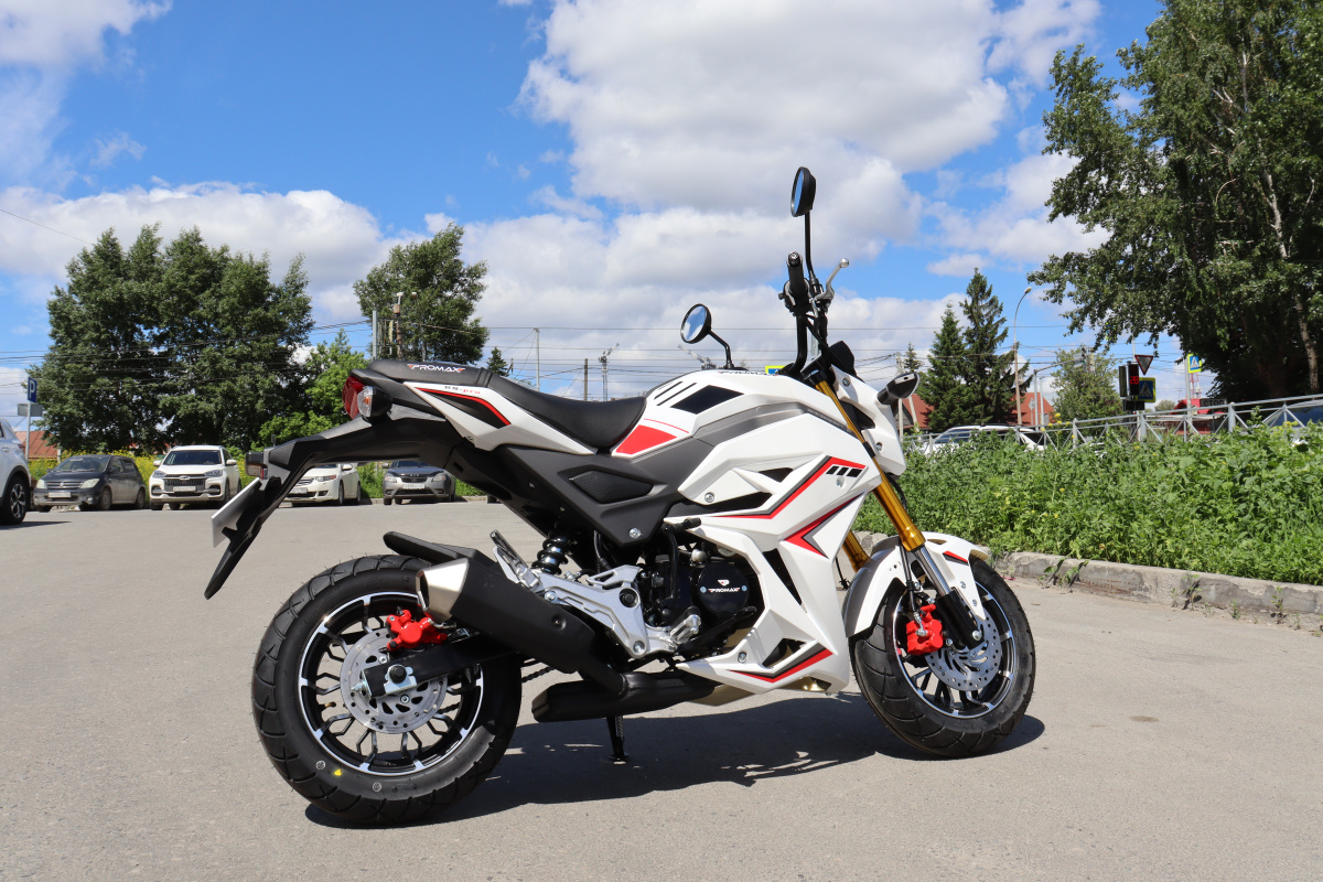 Мотоцикл PROMAX STRYKER 200(49) 2.0 в Ханты-Мансийске