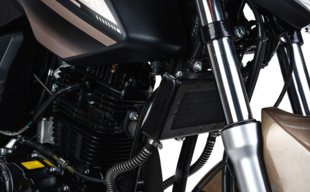 Мотоцикл MOTOLAND (МОТОЛЕНД) 300 BANDIT в Ханты-Мансийске