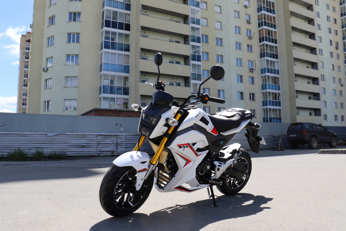 Мотоцикл PROMAX STRYKER 200(49) 2.0 в Ханты-Мансийске
