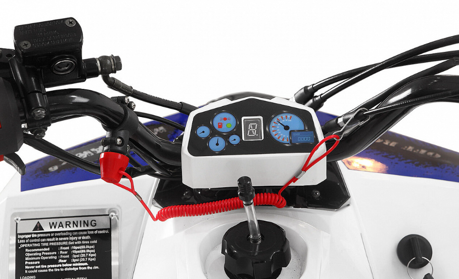 Квадроцикл Yacota Raposa 110 в Ханты-Мансийске