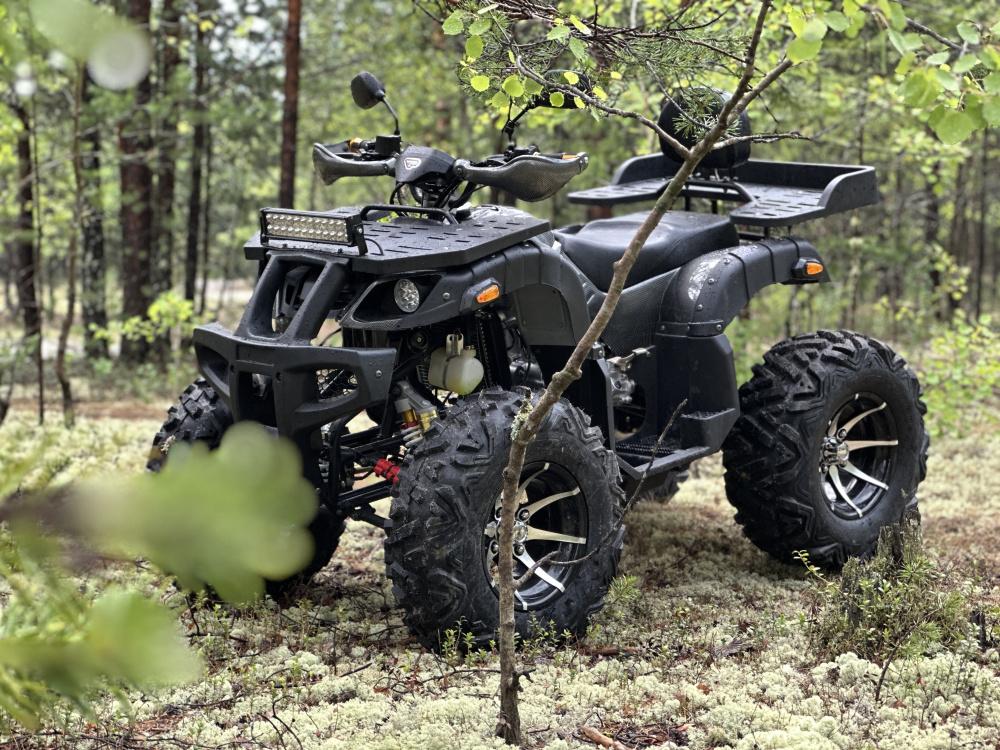 Квадроцикл PROMAX 320 DOMINATOR (2025) в Ханты-Мансийске