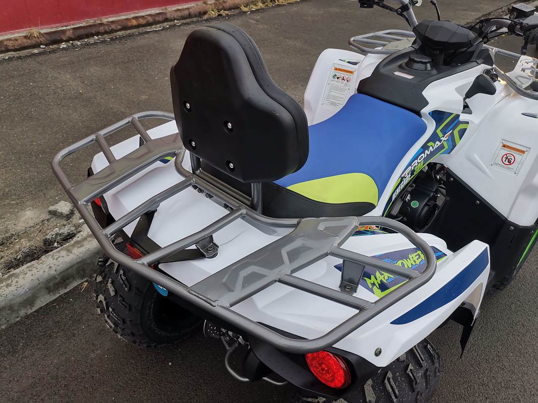 Квадроцикл PROMAX RENEGADE 280 LUX (2025) в Ханты-Мансийске