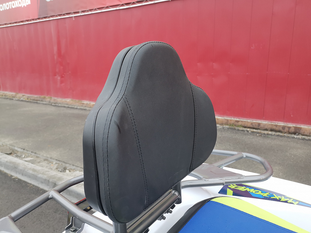 Квадроцикл PROMAX RENEGADE 280 LUX (2025) в Ханты-Мансийске