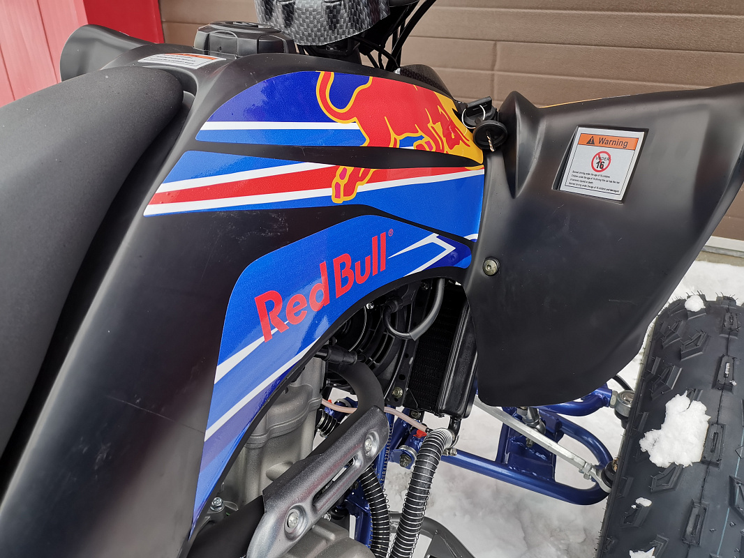 Квадроцикл PROMAX RAPTOR 300 NEW RedBull в Ханты-Мансийске