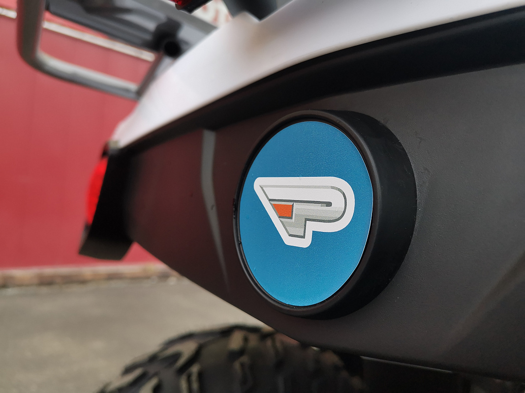 Квадроцикл PROMAX RENEGADE 280 LUX (2025) в Ханты-Мансийске