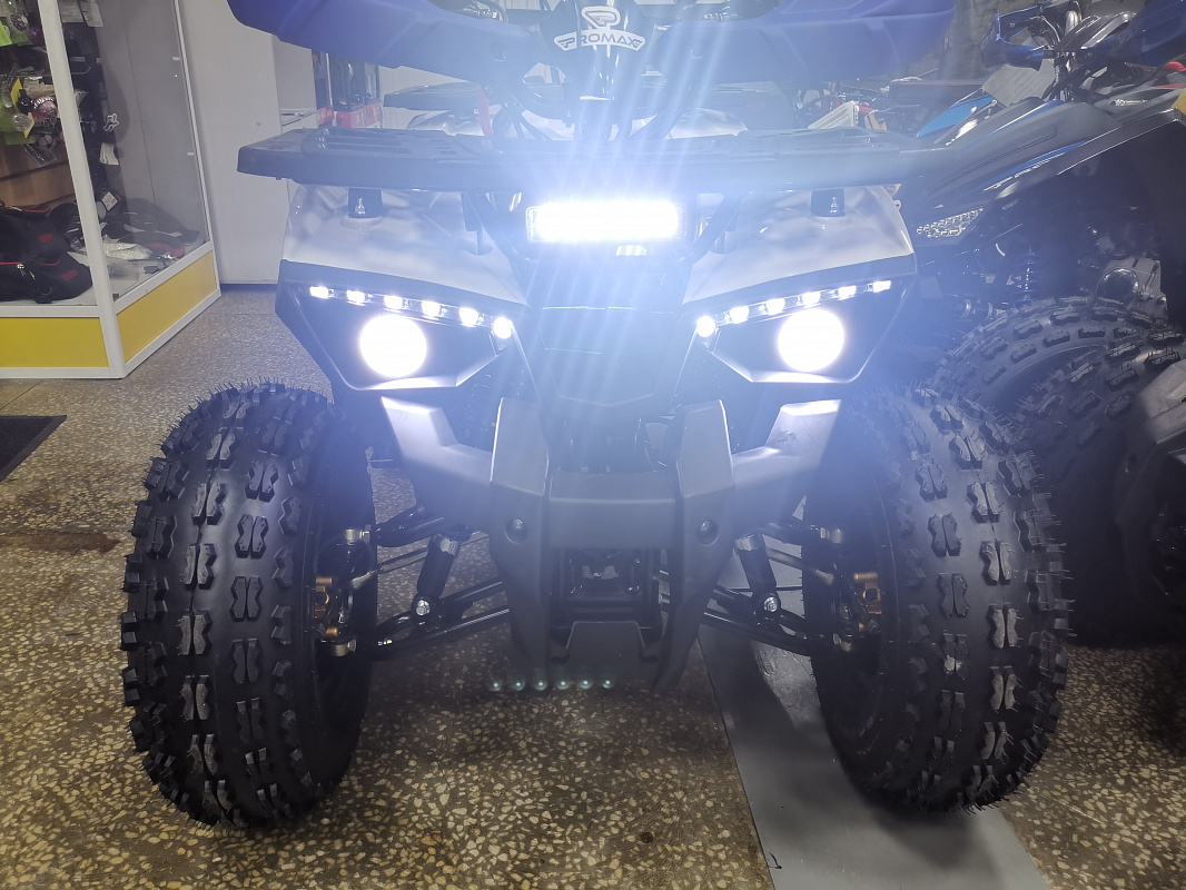 Квадроцикл PROMAX WILD 175 LUX в Ханты-Мансийске