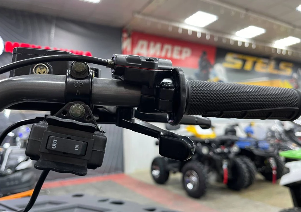 Квадроцикл PROMAX RENEGADE 300 LONG WINCH PRO (2025) в Ханты-Мансийске