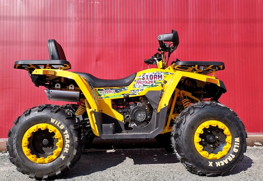 Квадроцикл PROMAX STORM 280 LUX в Ханты-Мансийске