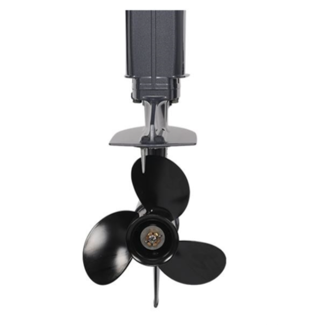 Лодочный мотор ALLFA CG Т40FW S в Ханты-Мансийске