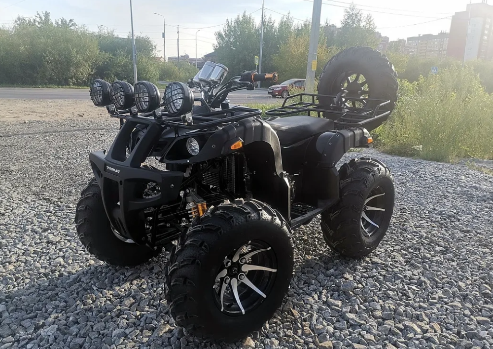 Квадроцикл PROMAX LEO 300 Max (кардан) в Ханты-Мансийске