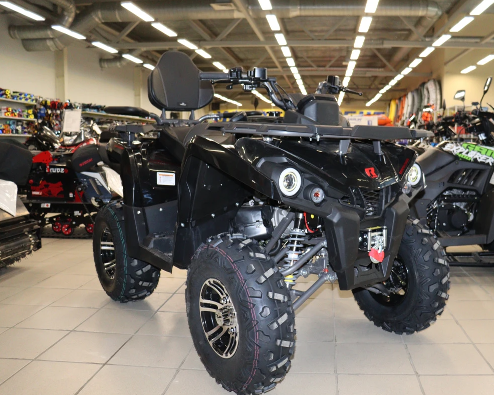 Квадроцикл PROMAX RENEGADE 300 LONG WINCH PRO (2025) в Ханты-Мансийске