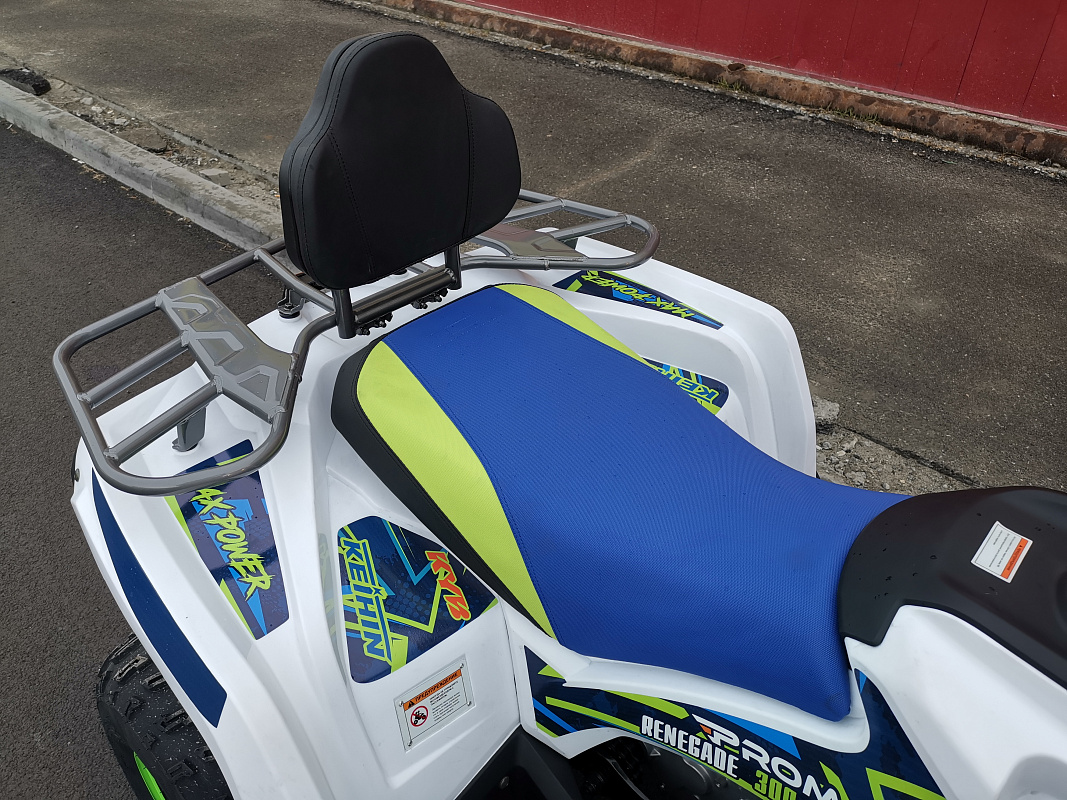 Квадроцикл PROMAX RENEGADE 280 LUX (2025) в Ханты-Мансийске