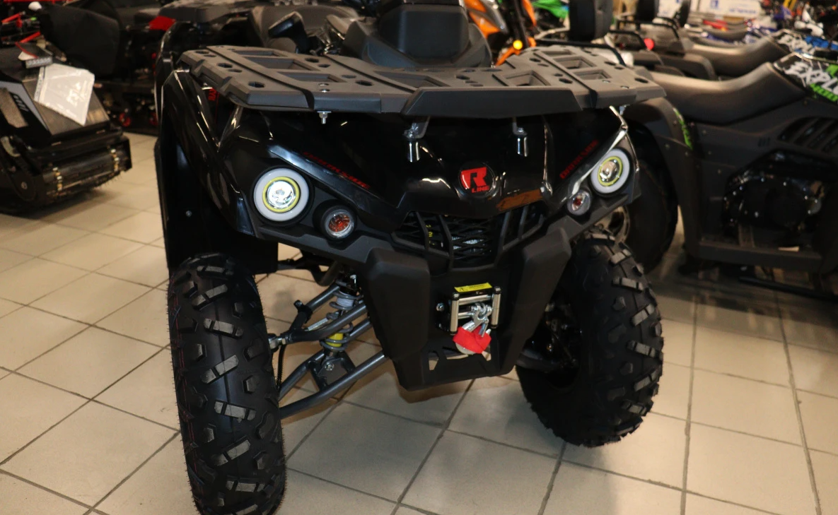 Квадроцикл PROMAX RENEGADE 300 LONG WINCH PRO (2025) в Ханты-Мансийске