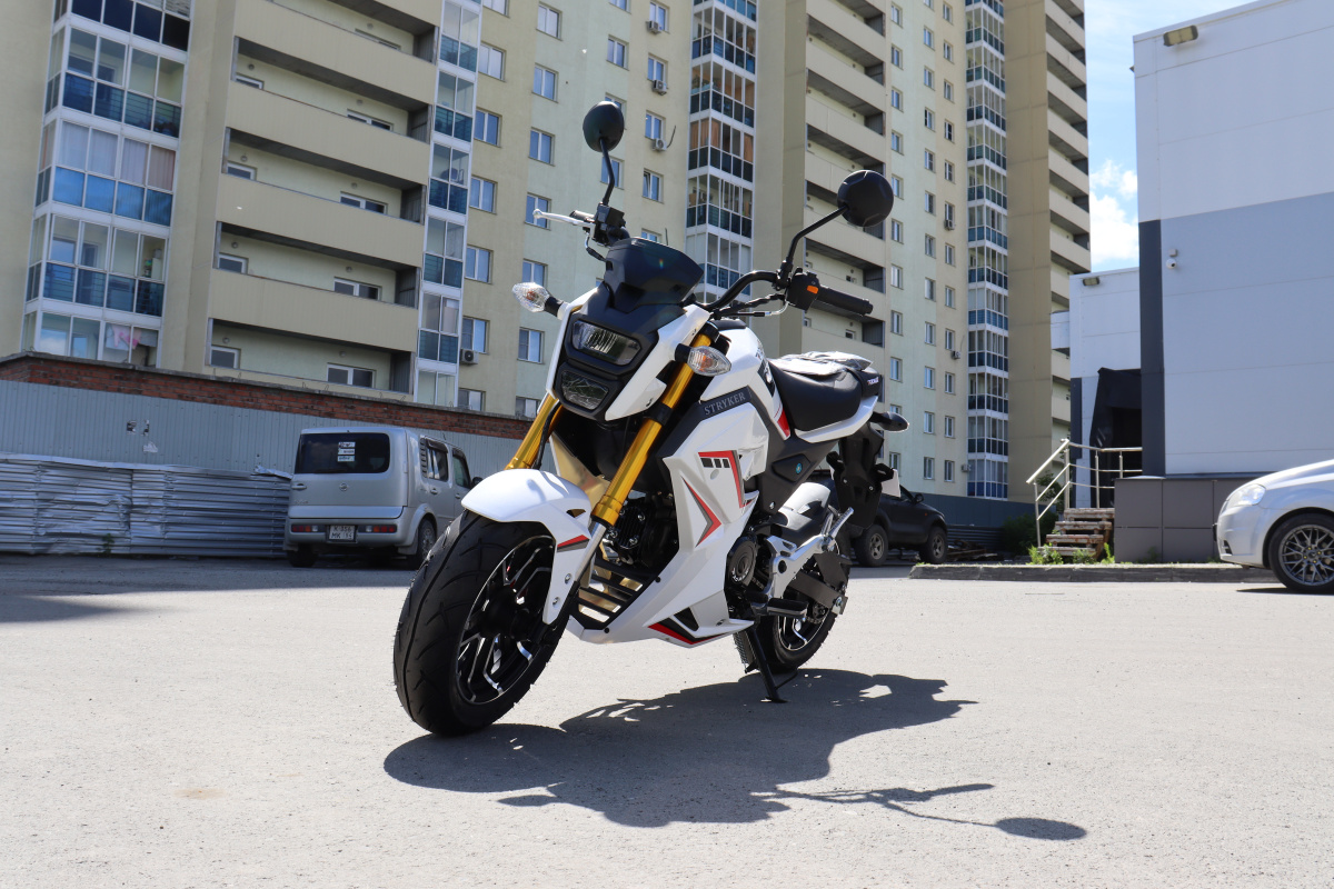 Мотоцикл PROMAX STRYKER 200(49) 2.0 в Ханты-Мансийске