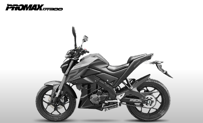 Мотоцикл PROMAX MT300 в Ханты-Мансийске