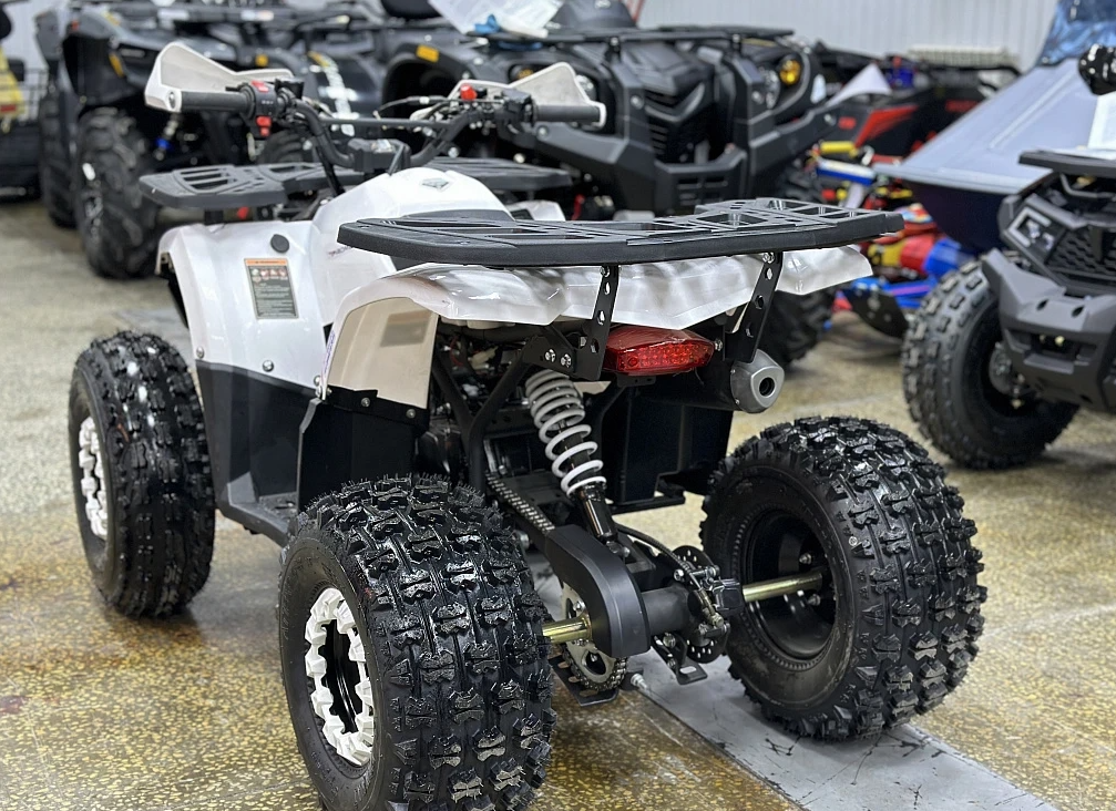 Квадроцикл PROMAX WILD 2.0 190 в Ханты-Мансийске