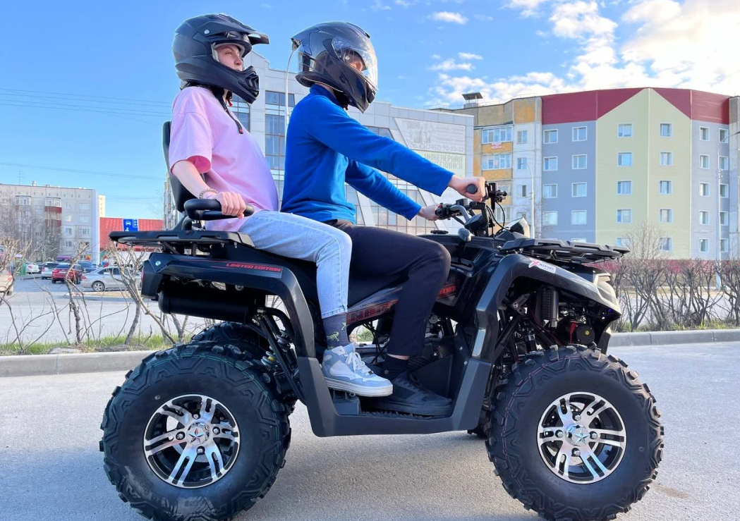 Квадроцикл PROMAX RENEGADE 300 LONG WINCH PRO (2025) в Ханты-Мансийске