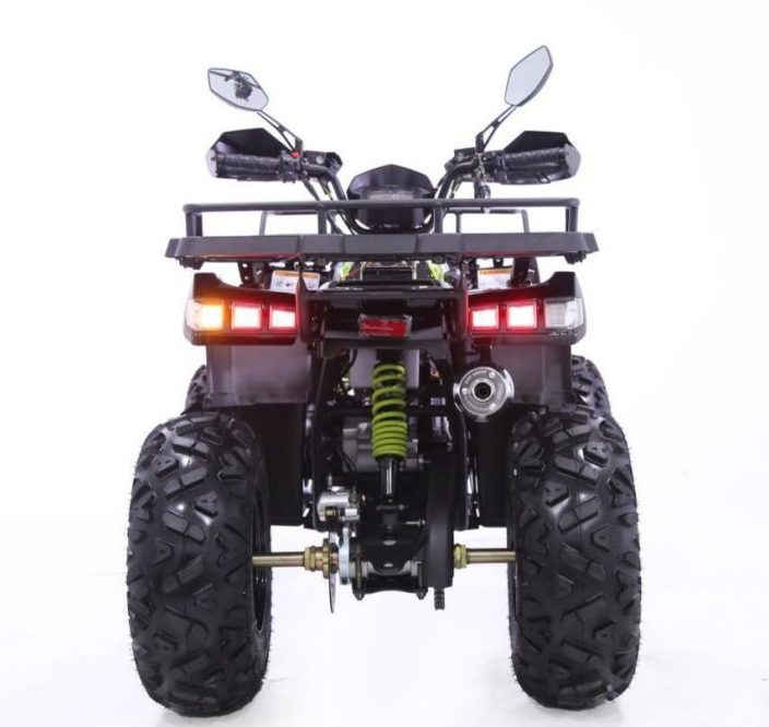 Квадроцикл YACOTA WARRIOR 200 PRO в Ханты-Мансийске