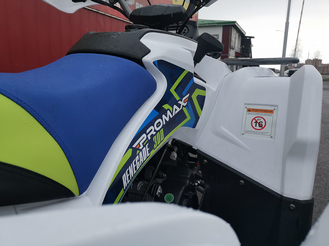 Квадроцикл PROMAX RENEGADE 280 LUX (2025) в Ханты-Мансийске