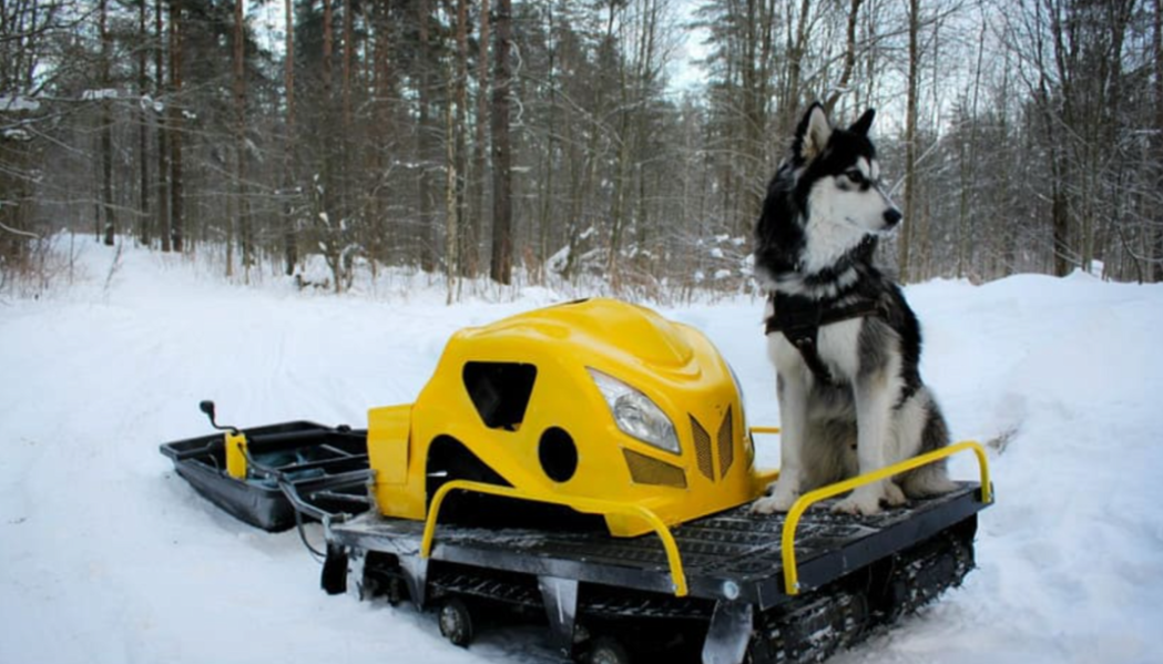 Мотобуксировщик LEBEDEV MOTORS ВОЛКОДАВ POWER V13 в Ханты-Мансийске