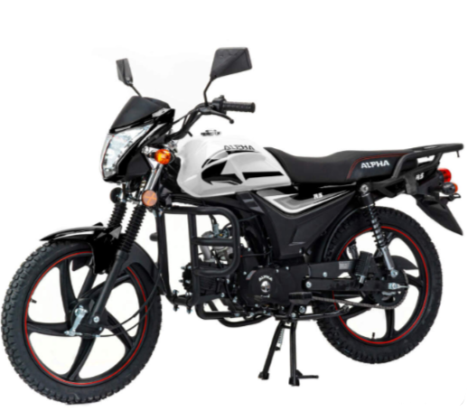 Мопед MOTOLAND (МОТОЛЕНД) Альфа RS 11 (LM48-B) в Ханты-Мансийске