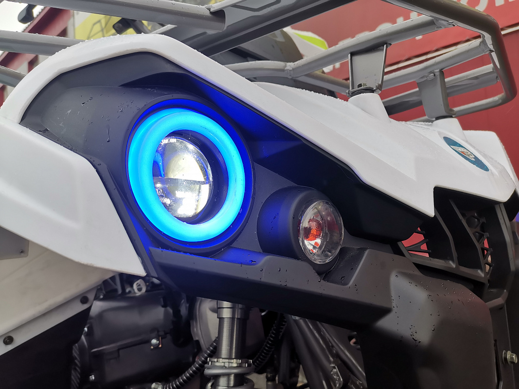 Квадроцикл PROMAX RENEGADE 280 LUX (2025) в Ханты-Мансийске