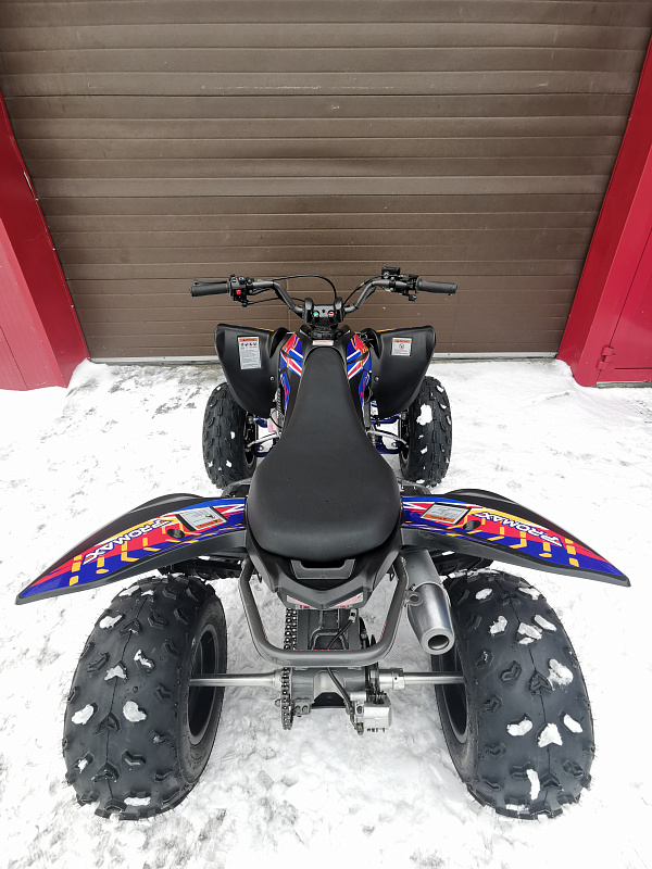 Квадроцикл PROMAX RAPTOR 300 NEW RedBull в Ханты-Мансийске