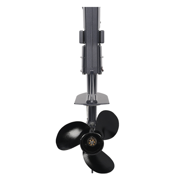 ЛОДОЧНЫЙ МОТОР ALLFA CG T5 в Ханты-Мансийске