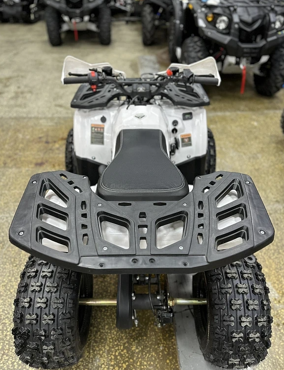 Квадроцикл PROMAX WILD 2.0 190 в Ханты-Мансийске