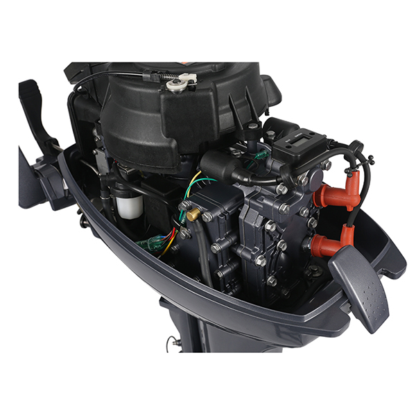 ЛОДОЧНЫЙ МОТОР ALLFA CG Т9,9 в Ханты-Мансийске