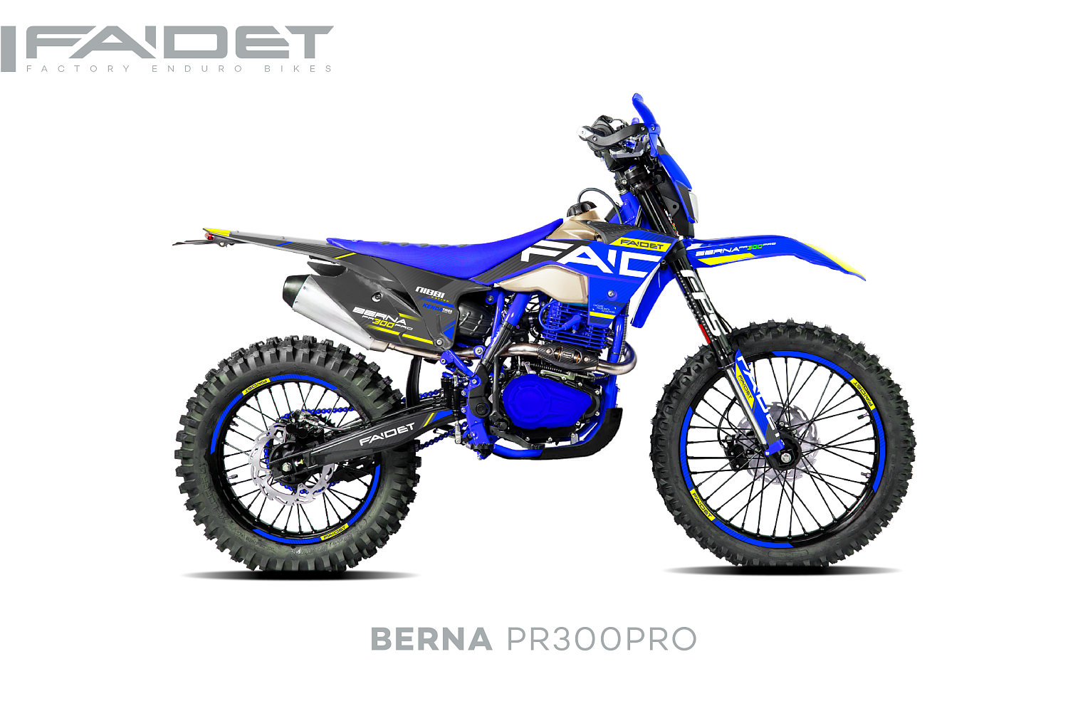 Кроссовый мотоцикл FAIDET BERNA PR300-PRO FPS в Ханты-Мансийске