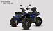 Квадроцикл PROMAX TAURUS 300 MAX-PRO LONG в Ханты-Мансийске