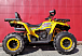 Квадроцикл PROMAX STORM 280 LUX в Ханты-Мансийске