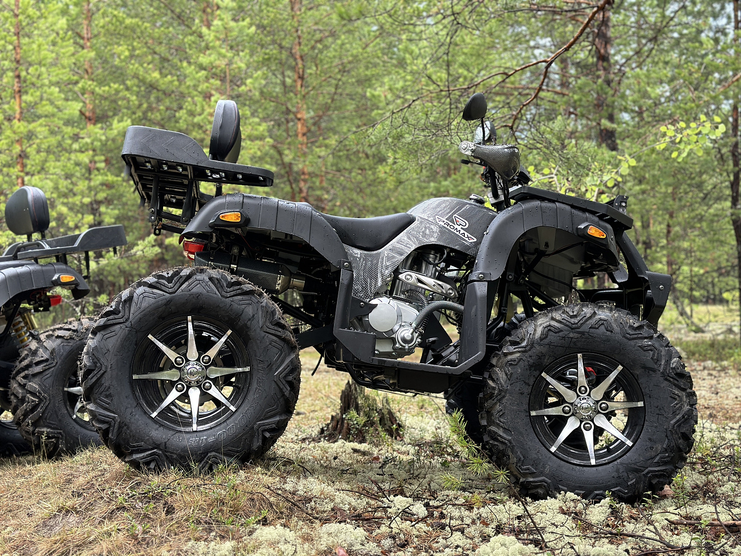 Квадроцикл PROMAX 320 DOMINATOR (2025) в Ханты-Мансийске