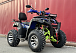  Квадроцикл PROMAX ATV 250 MAX (2025) в Ханты-Мансийске