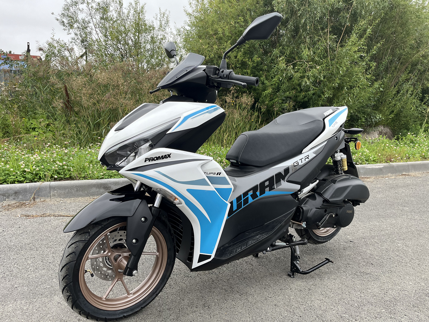 Скутер PROMAX TURAN 250 (49) в Ханты-Мансийске