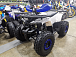 Квадроцикл PROMAX WILD 175 LUX в Ханты-Мансийске