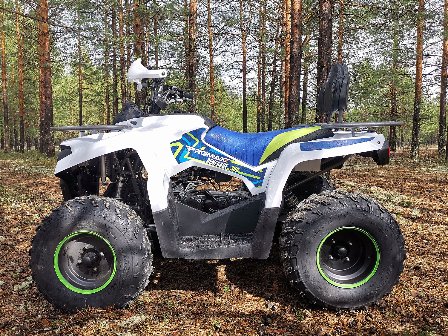 Квадроцикл PROMAX RENEGADE 280 (2025) в Ханты-Мансийске