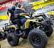 Квадроцикл PROMAX ATV 250 (2025) в Ханты-Мансийске