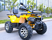 Квадроцикл MOTOLAND (МОТОЛЕНД) VOX200 WILD TRACK X PRO (баланс. вал) в Ханты-Мансийске