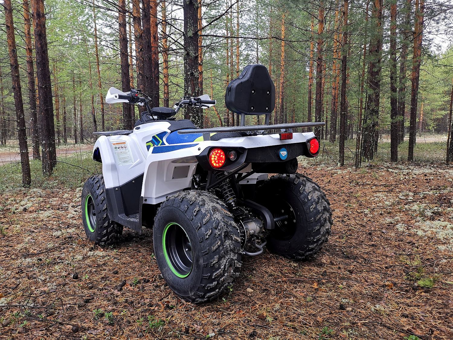 Квадроцикл PROMAX RENEGADE 280 (2025) в Ханты-Мансийске