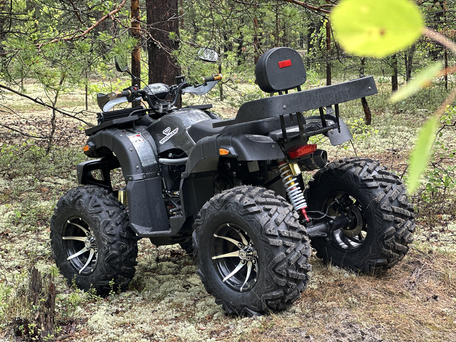 Квадроцикл PROMAX 320 DOMINATOR (2025) в Ханты-Мансийске