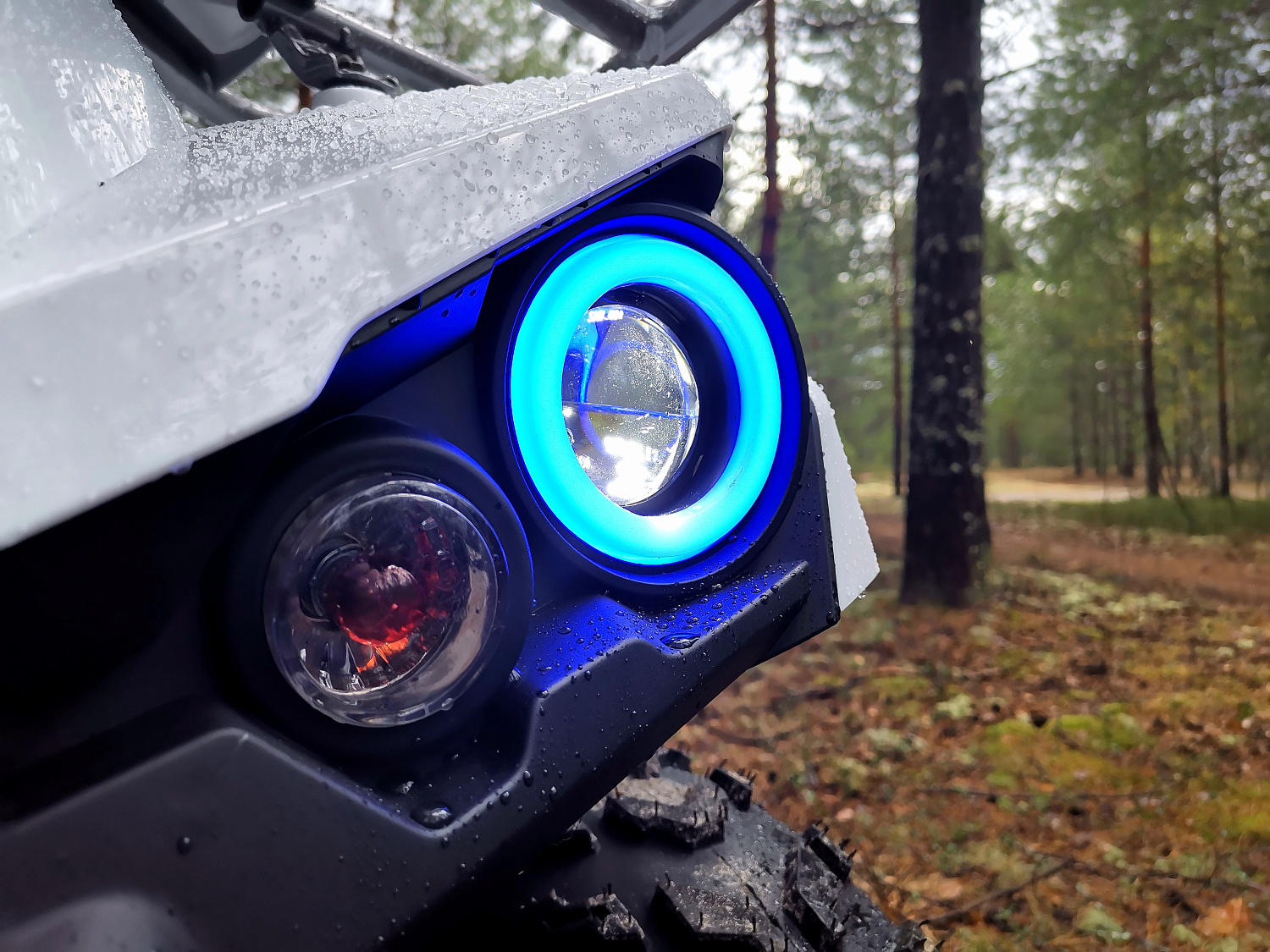 Квадроцикл PROMAX RENEGADE 280 (2025) в Ханты-Мансийске