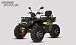 Квадроцикл PROMAX TAURUS 300 MAX-PRO LONG в Ханты-Мансийске